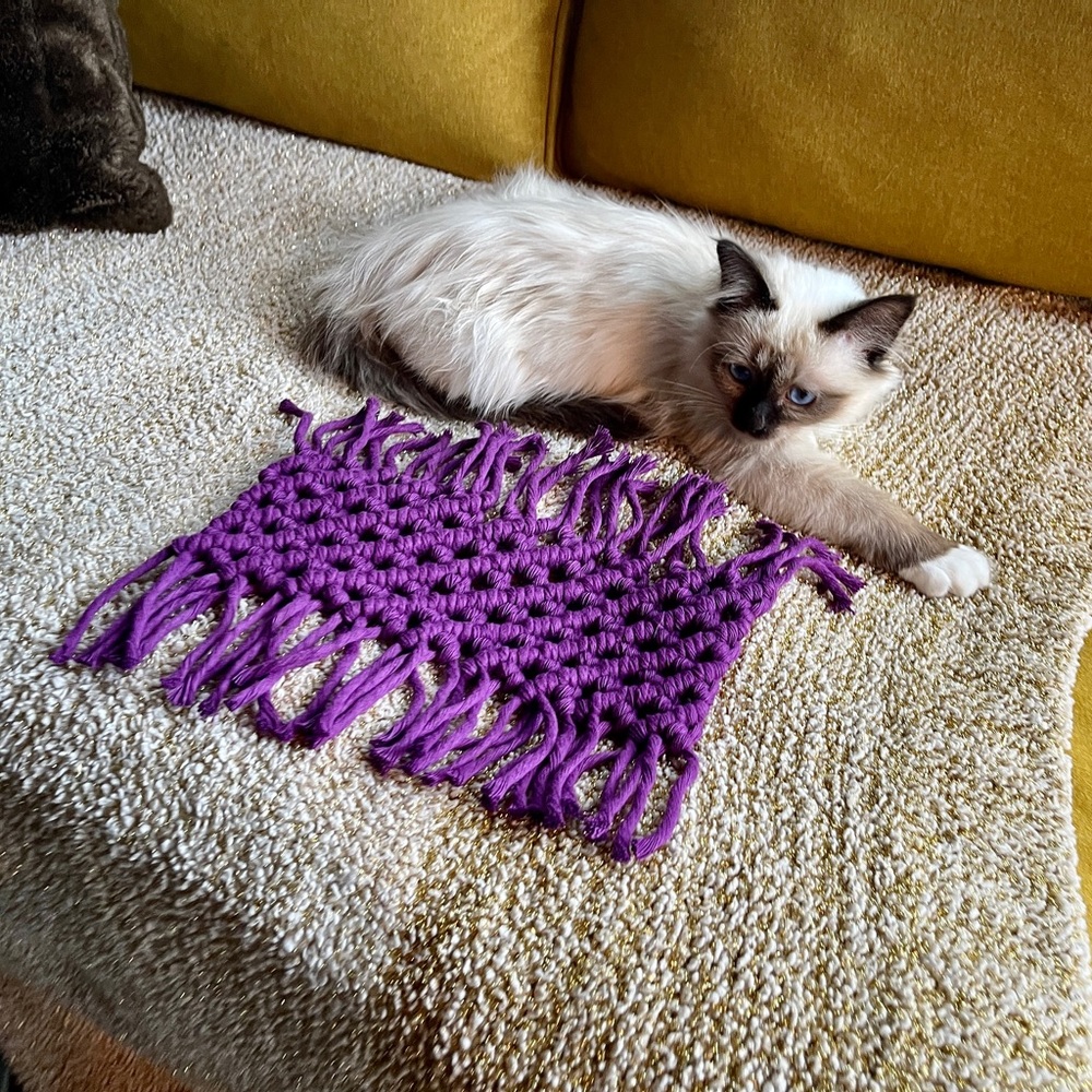 Handmade Macramé Mini Rug - Picture 2 of 4